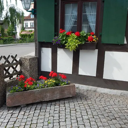 Gasthof Kinzigbrucke *